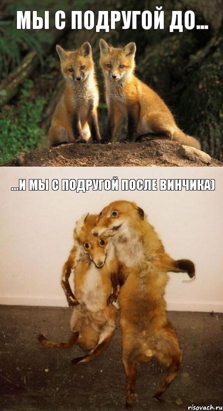 Мы с подругой до... ...И мы с подругой после Винчика), Комикс Лисицы