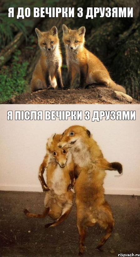 Я до вечірки з друзями Я після вечірки з друзями, Комикс Лисицы