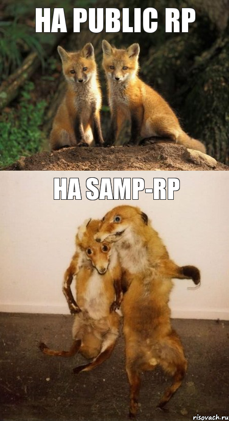НА Public Rp На Samp-rp, Комикс Лисицы