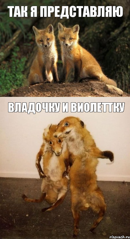 Так я представляю Владочку и Виолеттку, Комикс Лисицы