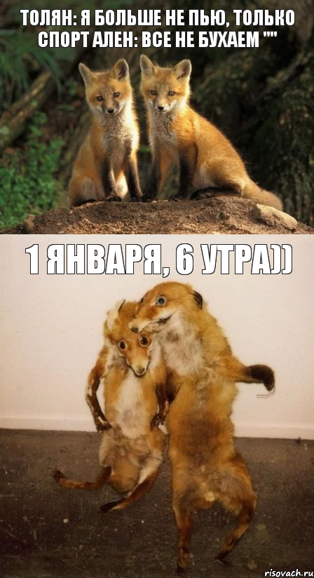 Толян: Я больше не пью, только спорт Ален: Все не бухаем "" 1 января, 6 утра)), Комикс Лисицы