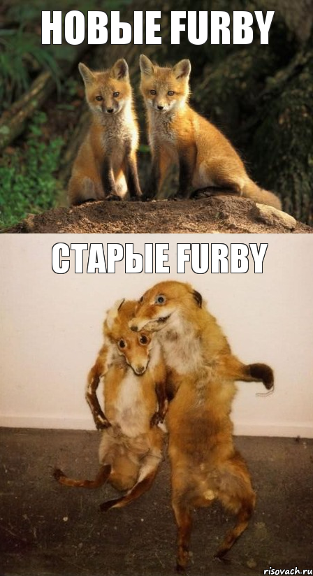 Новые furby Старые furby, Комикс Лисицы