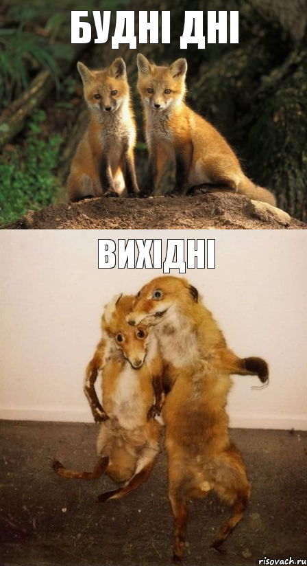 Будні дні Вихідні
