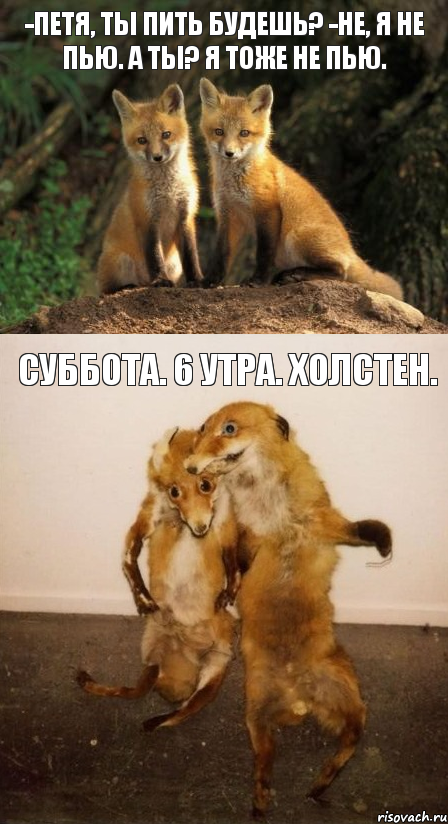 -Петя, ты пить будешь? -Не, я не пью. А ты? Я тоже не пью. Суббота. 6 утра. Холстен., Комикс Лисицы