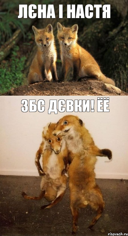 Лєна і Настя збс дєвки! ЁЁ, Комикс Лисицы