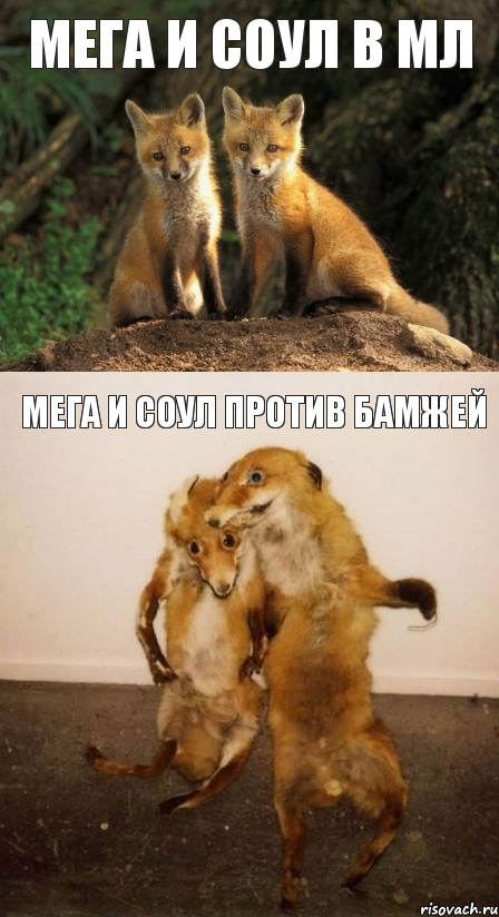 мега и соул в мл мега и соул против бамжей, Комикс Лисицы