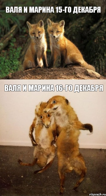 Валя и Марина 15-го декабря Валя и Марина 16-го декабря, Комикс Лисицы