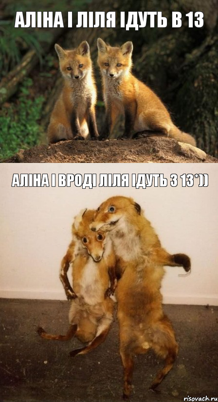 Аліна і Ліля ідуть в 13 Аліна і вроді Ліля ідуть з 13*)), Комикс Лисицы
