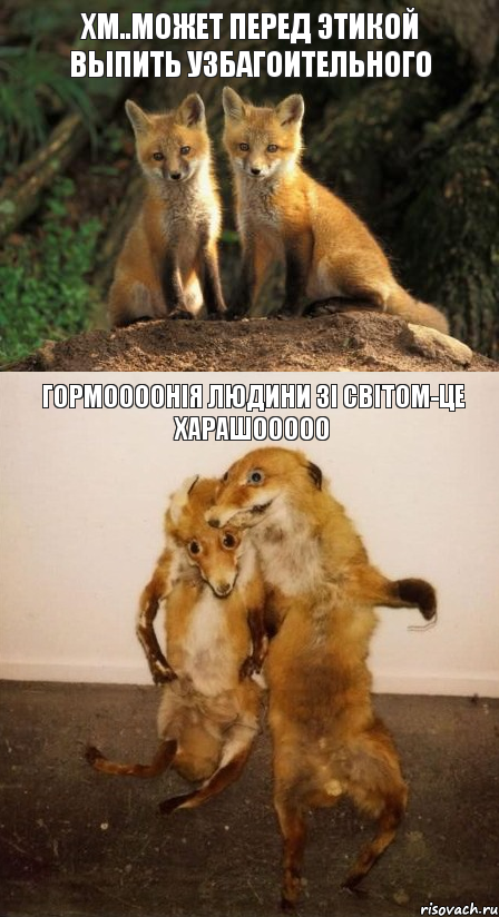 Хм..может перед этикой выпить узбагоительного гОрмоооонія людини зі світом-це харашооооо, Комикс Лисицы