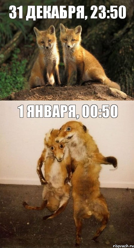 31 декабря, 23:50 1 января, 00:50, Комикс Лисицы