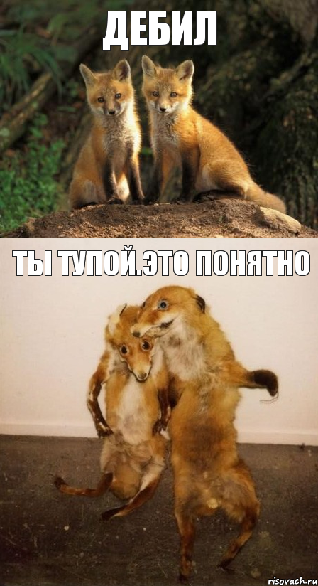 дебил ты тупой.это понятно, Комикс Лисицы