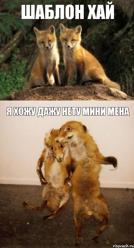 шаблон хай я хожу дажу нету мини мена, Комикс Лисицы