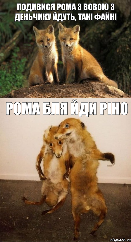 Подивися рома з вовою з деньчику йдуть, такі файні Рома бля йди ріно, Комикс Лисицы
