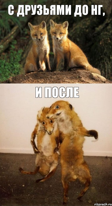 С ДРУЗЬЯМИ ДО НГ, И ПОСЛЕ, Комикс Лисицы