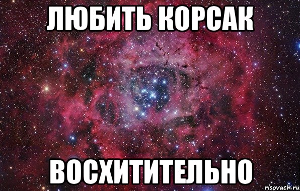 Любить корсак Восхитительно, Мем Ты просто космос