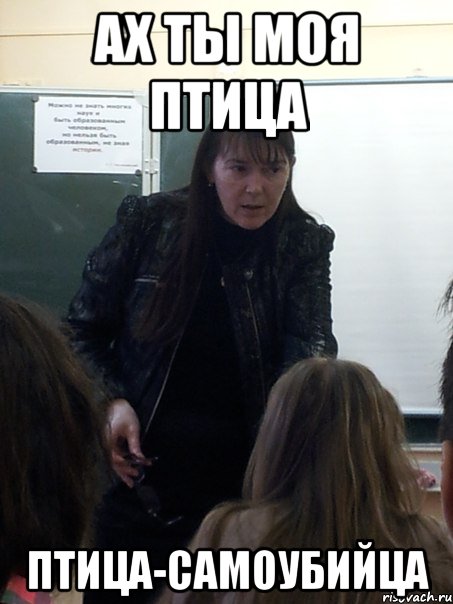 Ах ты моя птица птица-самоубийца