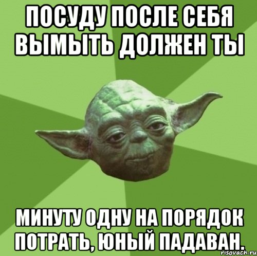 посуду после себя вымыть должен ты минуту одну на порядок потрать, юный падаван., Мем Мастер Йода