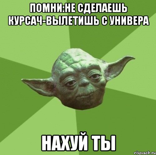 Помни:не сделаешь курсач-вылетишь с универа нахуй ты, Мем Мастер Йода