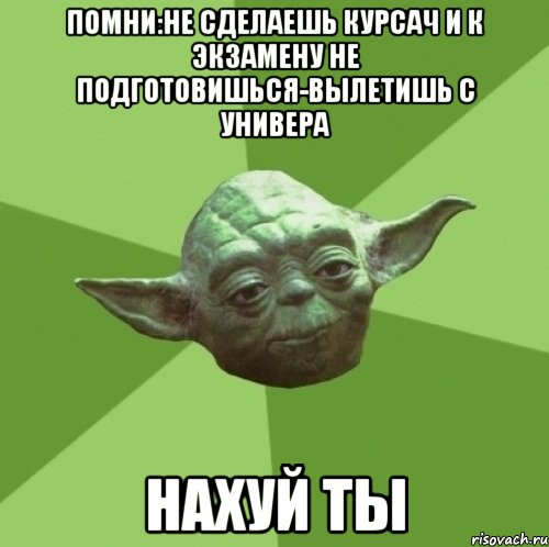 Помни:не сделаешь курсач и к экзамену не подготовишься-вылетишь с универа нахуй ты, Мем Мастер Йода