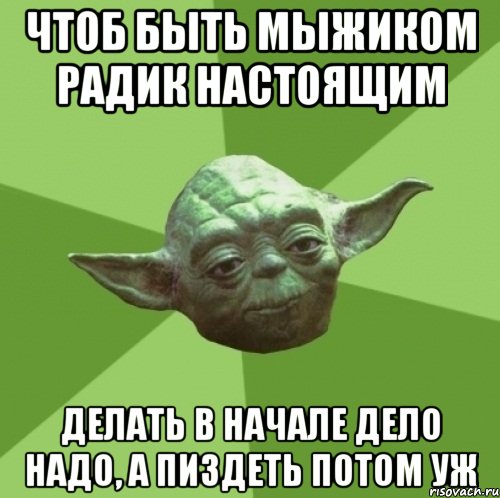 чтоб быть мыжиком радик настоящим делать в начале дело надо, а пиздеть потом уж, Мем Мастер Йода