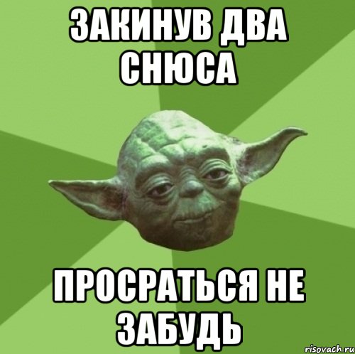 закинув два снюса просраться не забудь, Мем Мастер Йода
