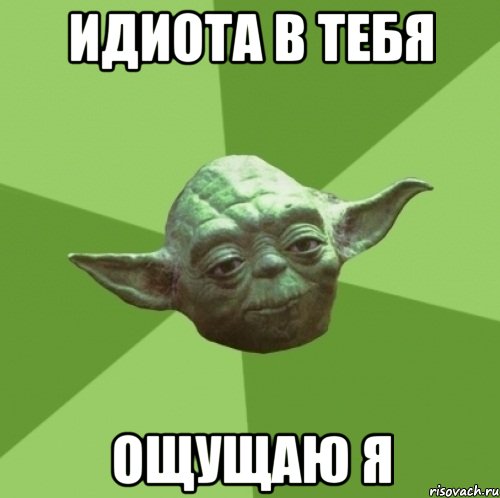 идиота в тебя ощущаю я, Мем Мастер Йода