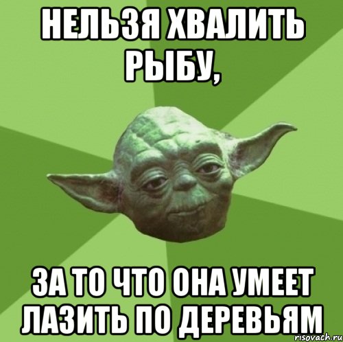 Нельзя хвалить рыбу, за то что она умеет лазить по деревьям, Мем Мастер Йода