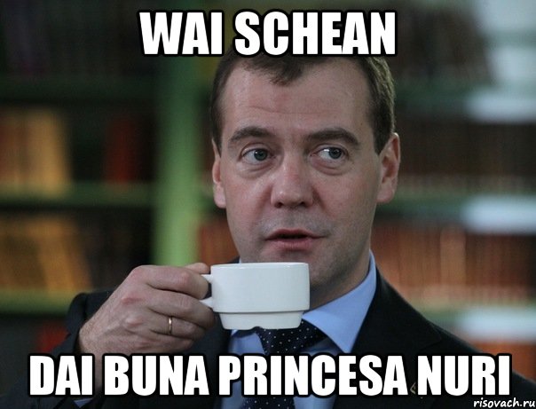 Wai Schean Dai buna Princesa Nuri, Мем Медведев спок бро