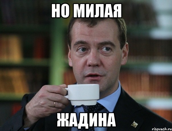 но милая жадина, Мем Медведев спок бро