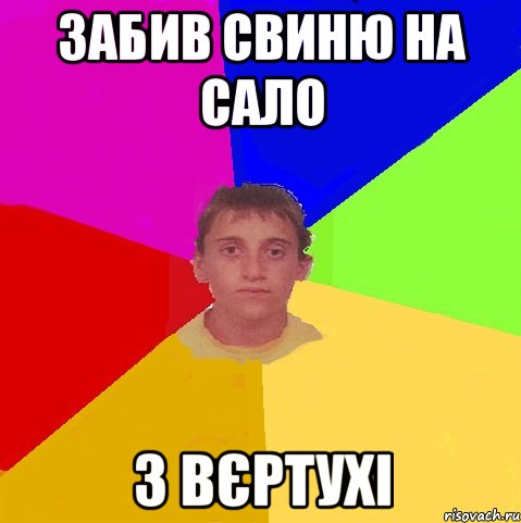 Забив свиню на сало З вєртухі