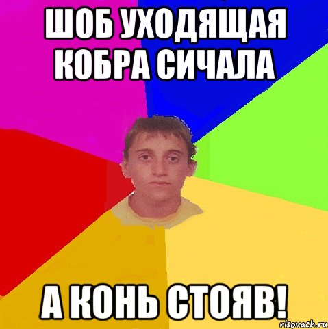 ШОБ УХОДЯЩАЯ КОБРА СИЧАЛА А КОНЬ СТОЯВ!