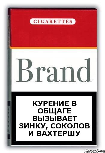 Курение в общаге вызывает зинку, соколов и вахтершу, Комикс Минздрав