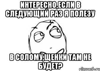 интересно,если в следующий раз я полезу в солому,щенки там не будет?, Мем Мне кажется или