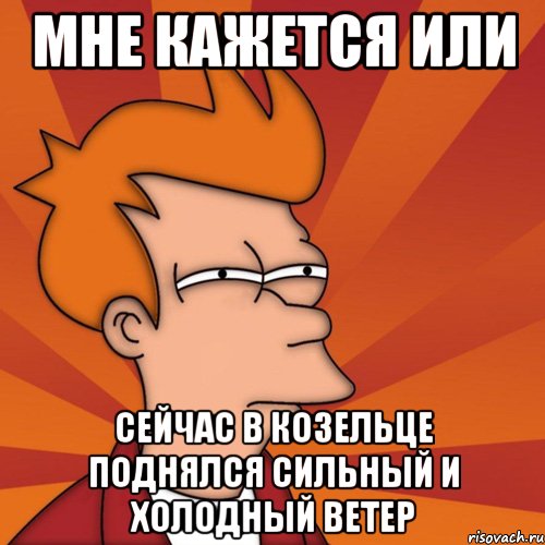 мне кажется или сейчас в Козельце поднялся сильный и холодный ветер, Мем Мне кажется или (Фрай Футурама)