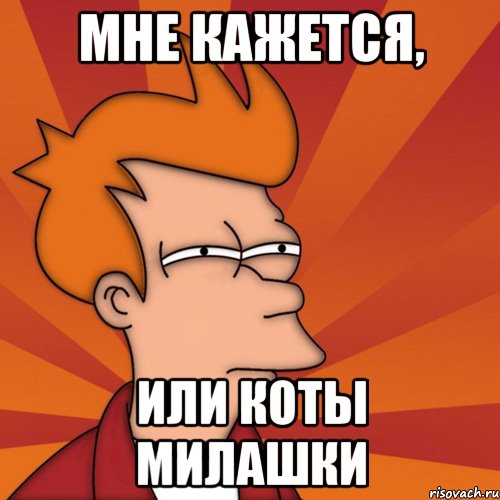 Мне кажется, Или коты милашки, Мем Мне кажется или (Фрай Футурама)