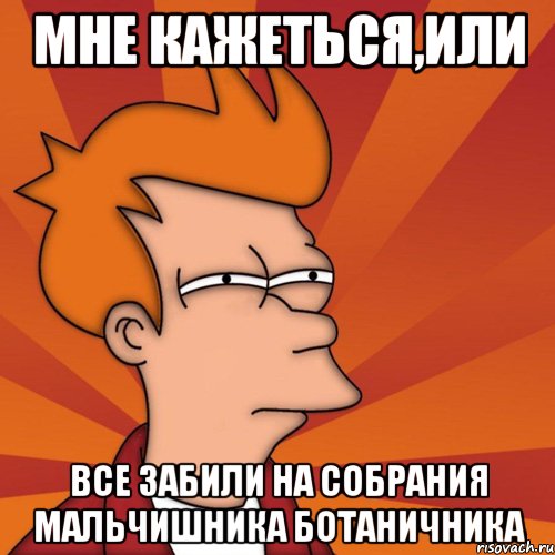 мне кажеться,или все забили на собрания мальчишника ботаничника, Мем Мне кажется или (Фрай Футурама)