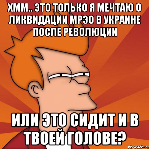 Хмм.. Это только я мечтаю о ликвидации МРЭО в Украине после Революции или это сидит и в твоей голове?, Мем Мне кажется или (Фрай Футурама)