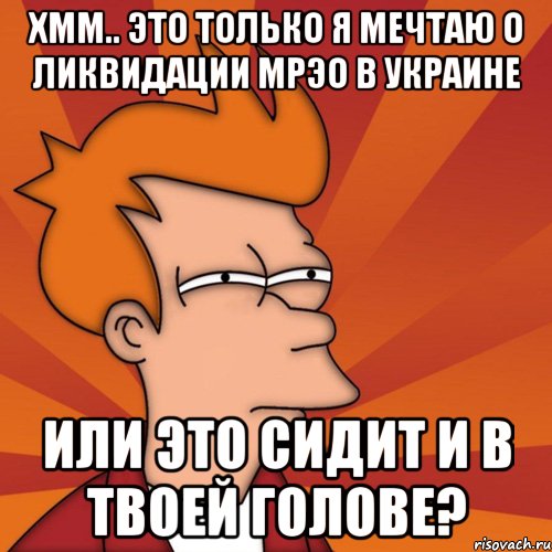 Хмм.. Это только я мечтаю о ликвидации МРЭО в Украине или это сидит и в твоей голове?, Мем Мне кажется или (Фрай Футурама)