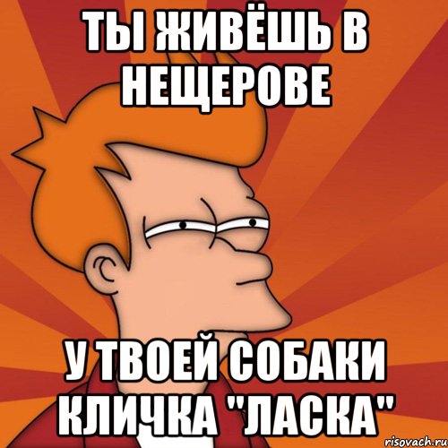 ты живёшь в Нещерове у твоей собаки кличка "Ласка", Мем Мне кажется или (Фрай Футурама)