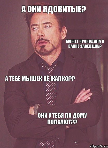 А они ядовитые? Может крокодила в ванне заведешь? А тебе мышек не жалко?? Они у тебя по дому ползают??, Комикс мое лицо