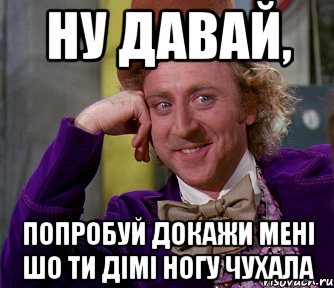 НУ ДАВАЙ, ПОПРОБУЙ ДОКАЖИ МЕНІ ШО ТИ ДІМІ НОГУ ЧУХАЛА, Мем мое лицо