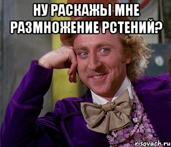 Ну раскажы мне размножение рстений? , Мем мое лицо