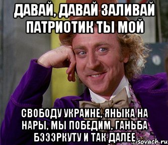 давай, давай заливай патриотик ты мой свободу украине, яныка на нары, мы победим, ганьба бэээркуту и так далее, Мем мое лицо