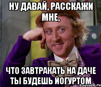 ну давай, расскажи мне, что завтракать на даче ты будешь йогуртом, Мем мое лицо