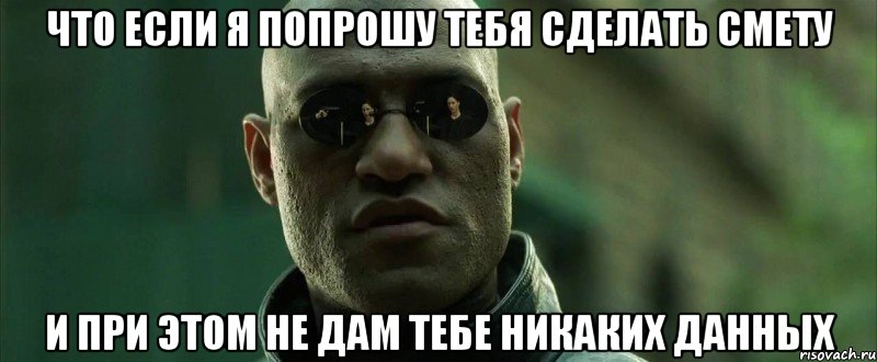 Что если я попрошу тебя сделать смету и при этом не дам тебе никаких данных, Мем  морфеус