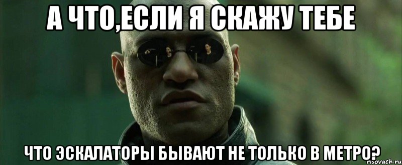 А что,если я скажу тебе что эскалаторы бывают не только в метро?