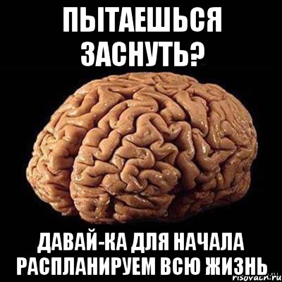 Пытаешься заснуть? Давай-ка для начала распланируем всю жизнь