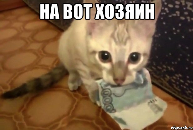 на вот хозяин 
