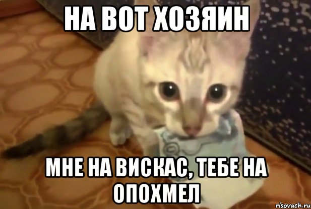 на вот хозяин мне на вискас, тебе на опохмел