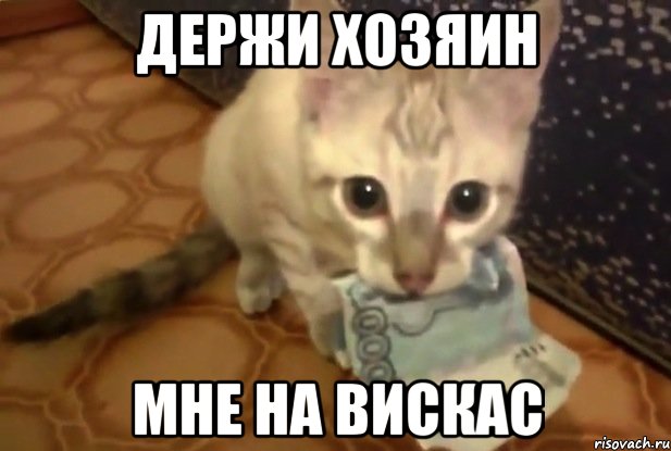 держи хозяин мне на вискас